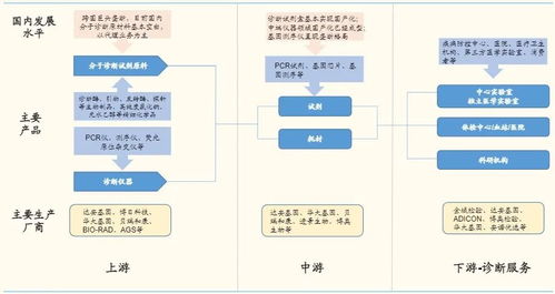 體外診斷3.0時代 分子診斷百花齊放，基礎軟件是決勝先機